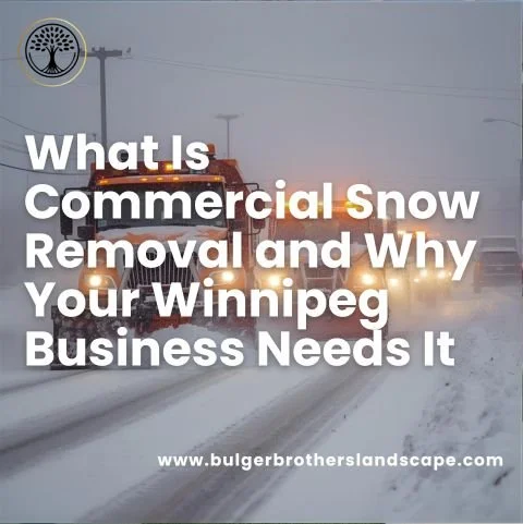 What Is Commercial Snow Removal and Why Your Winnipeg Business Needs It