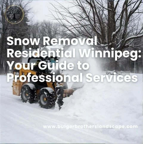Snow Removal Residential Winnipeg: Your Guide to Professional Services