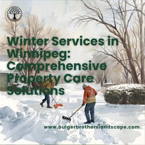 Winter Services in Winnipeg: Comprehensive Property Care Solutions