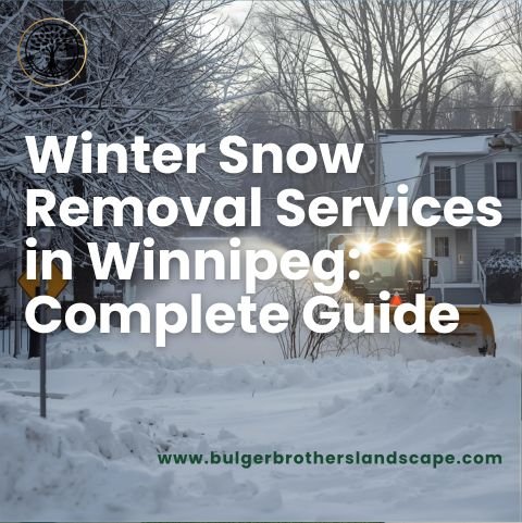 Winter Snow Removal Services in Winnipeg: Complete Guide