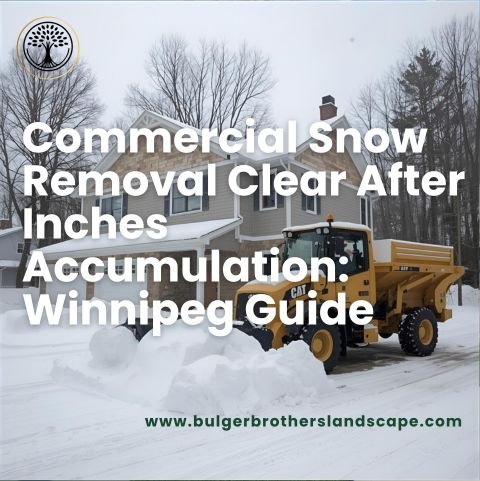 Commercial Snow Removal Clear After Inches Accumulation: Winnipeg Guide