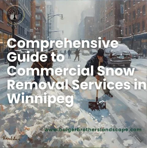 Comprehensive Guide to Commercial Snow Removal Services in Winnipeg