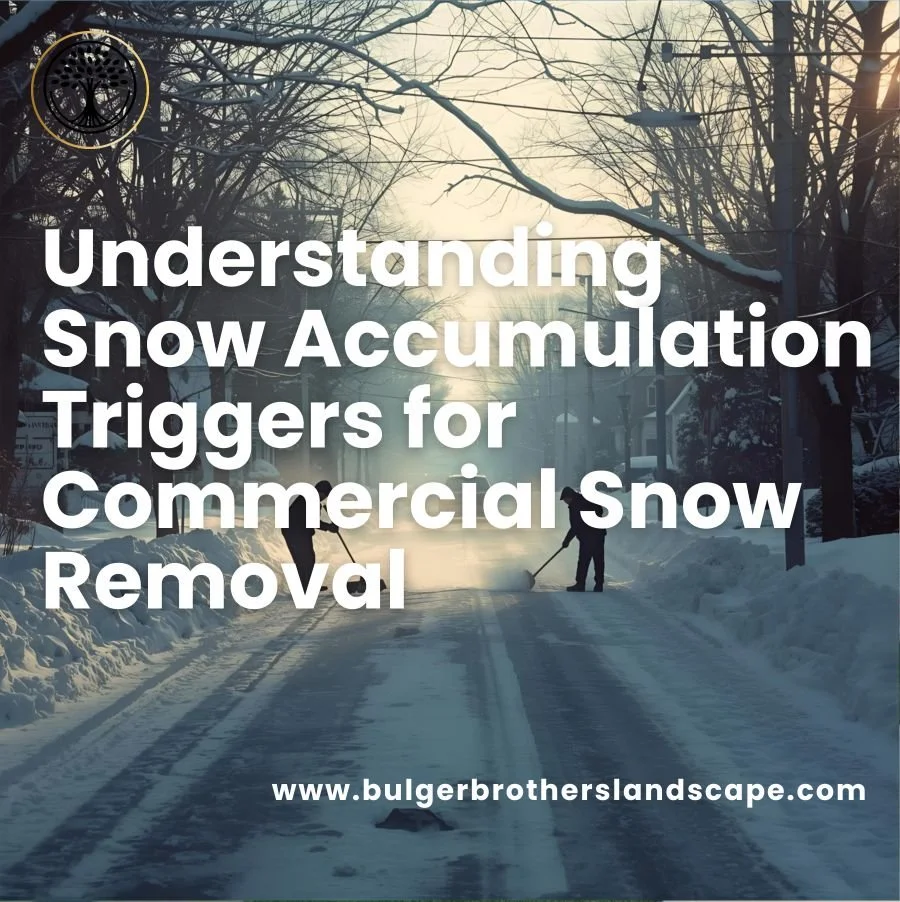 Who Provides Residential Snow Removal Services in Winnipeg?