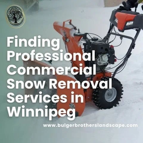 Finding Professional Commercial Snow Removal Services in Winnipeg