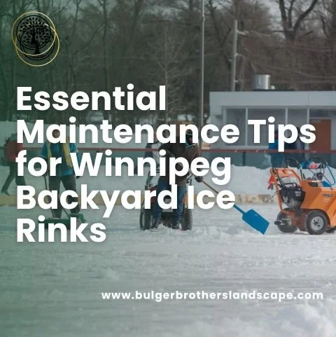 Essential Maintenance Tips for Winnipeg Backyard Ice Rinks