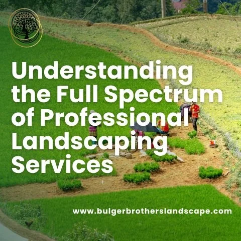 Understanding the Full Spectrum of Professional Landscaping Services