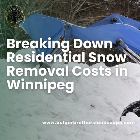 Breaking Down Residential Snow Removal Costs in Winnipeg