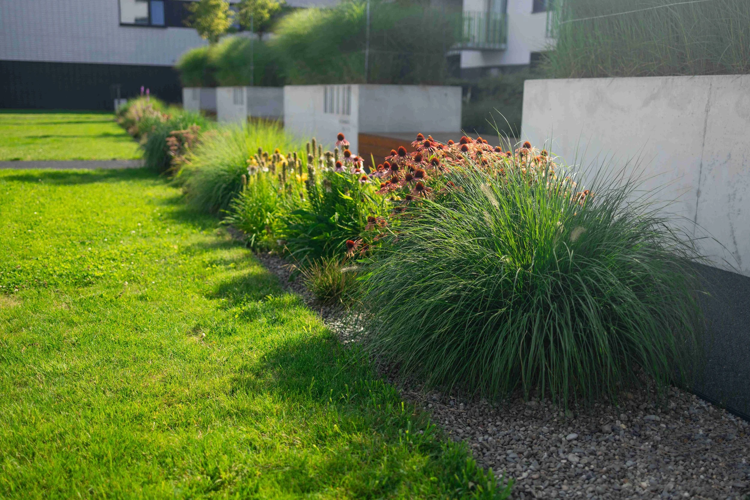 What Is Commercial Landscaping: A Complete Guide for Business Owners