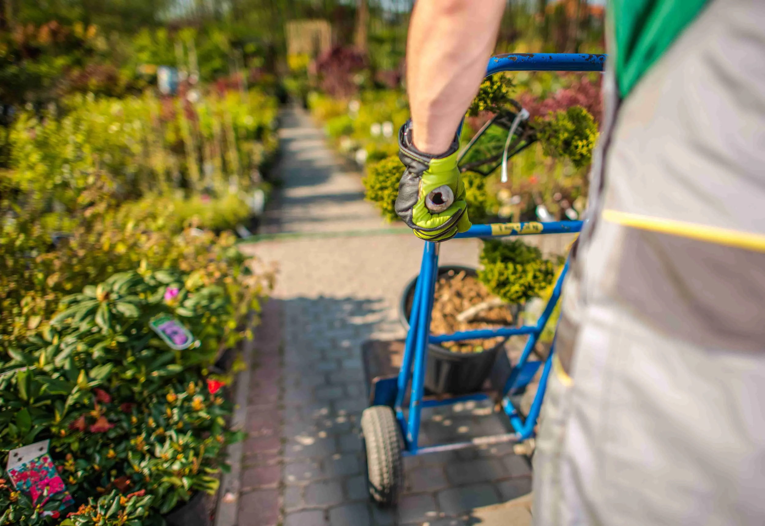 How Much Does Residential Landscaping Cost: Complete Pricing Guide for Homeowners