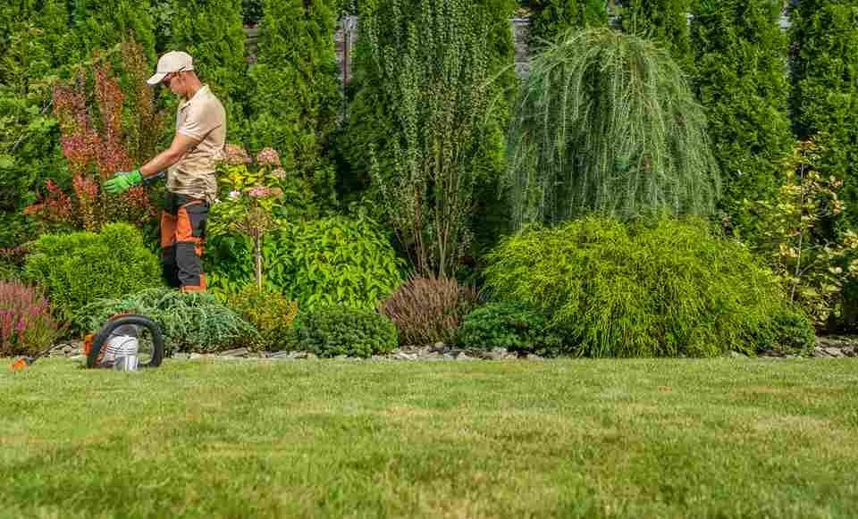Winnipeg Lawn Care Calendar: What to Do Each Month
