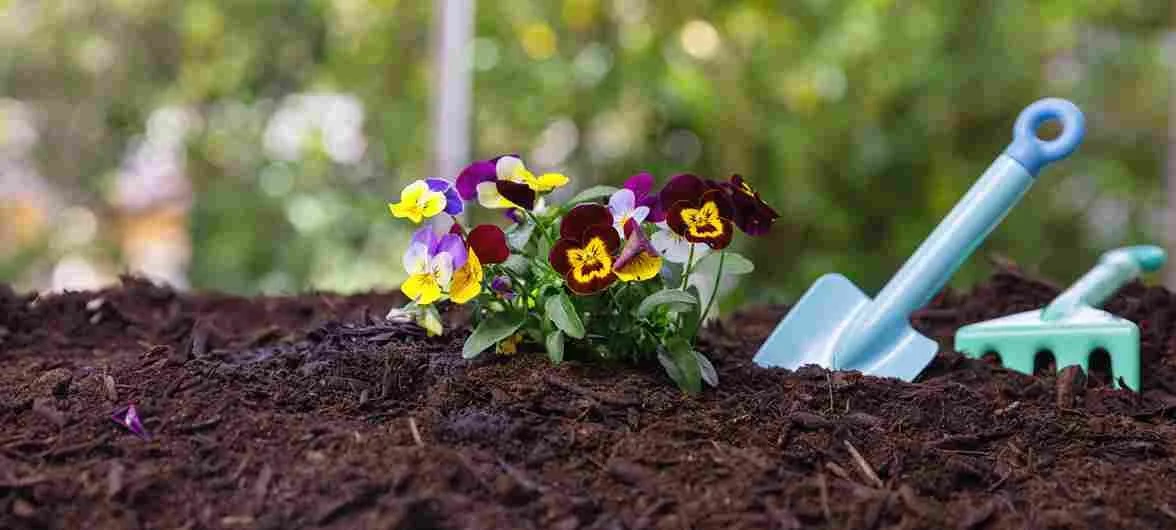 What Is the Best Mulch for Flower Beds in Winnipeg? A Homeowner's Complete Guide