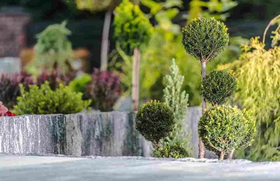 What Is a Garden Designer? What They Do and When Winnipeg Homeowners Need One