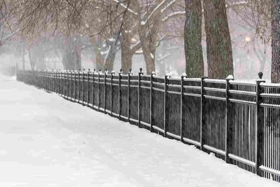 What Type of Fence Holds Up Best Through a Winnipeg Winter?