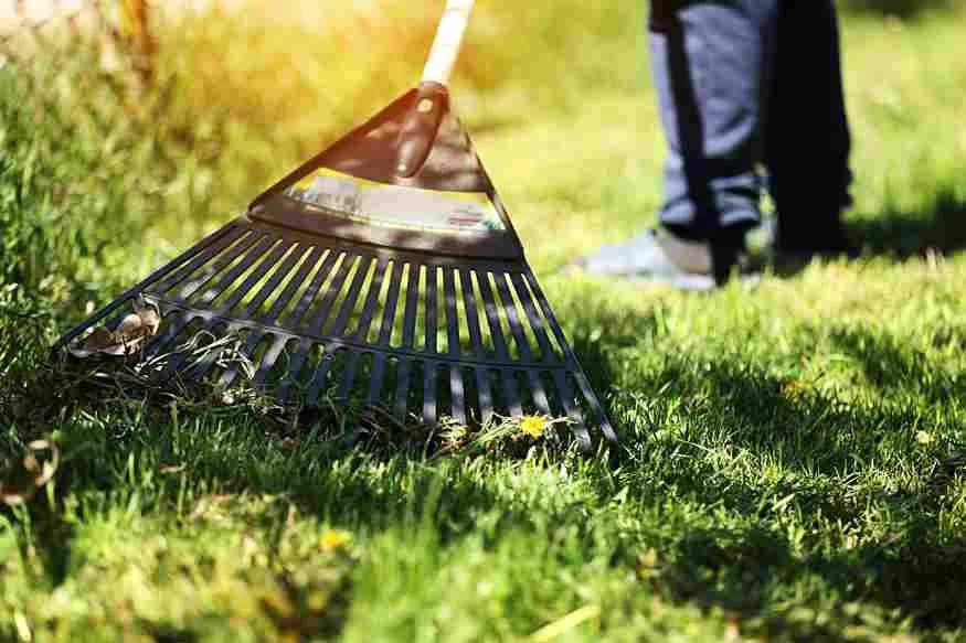 When Is the Best Time for Spring Clean Up in Winnipeg?