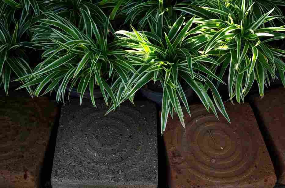 Hardscape Trends Winnipeg Homeowners Are Embracing in 2026