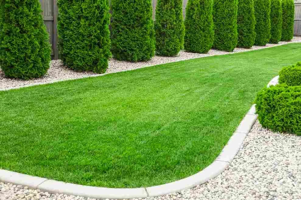 Winnipeg Landscaping: What the Best Companies Always Include