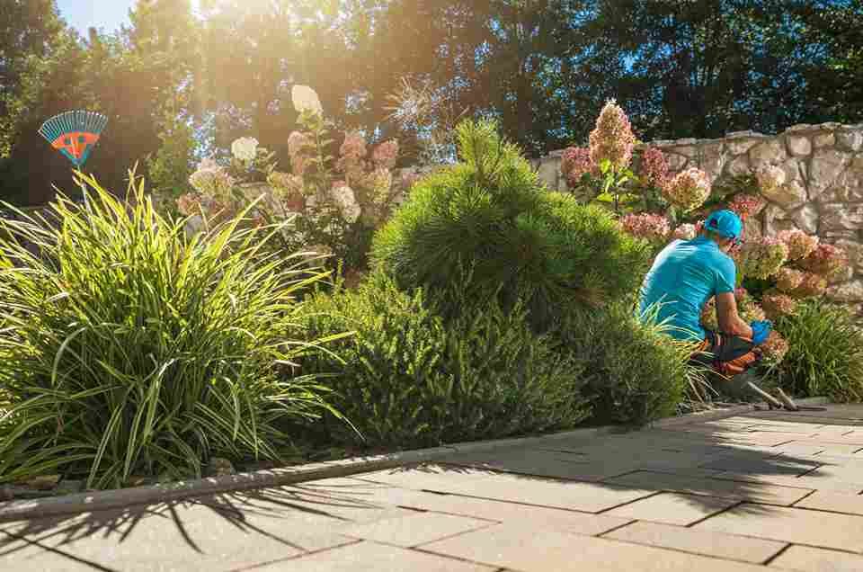 What Does Affordable Landscaping Cost in Winnipeg?