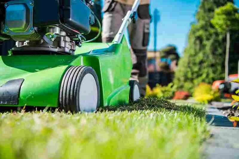 &nbsp;How Do You Choose the Best Lawn Care Company in Winnipeg?