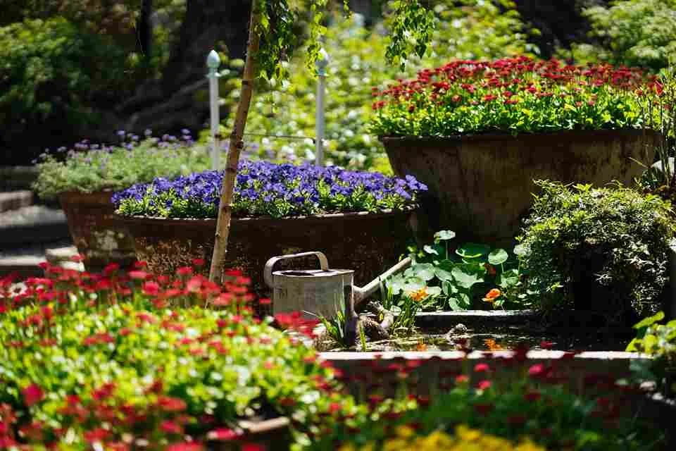 How Much Does Landscaping Cost in Winnipeg? 2026 Guide