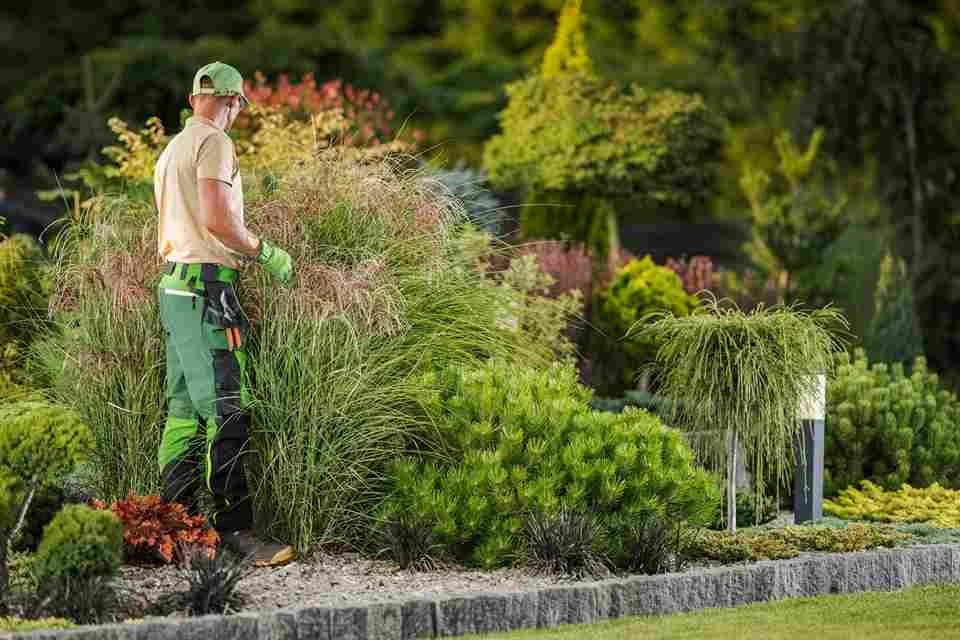 How Much Do Landscapers Charge an Hour in Winnipeg?