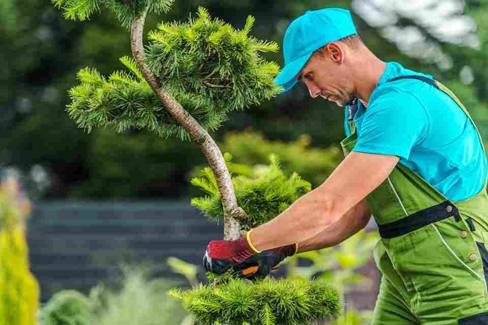 Does Landscaping Increase Home Value? 2026 Data Says Yes