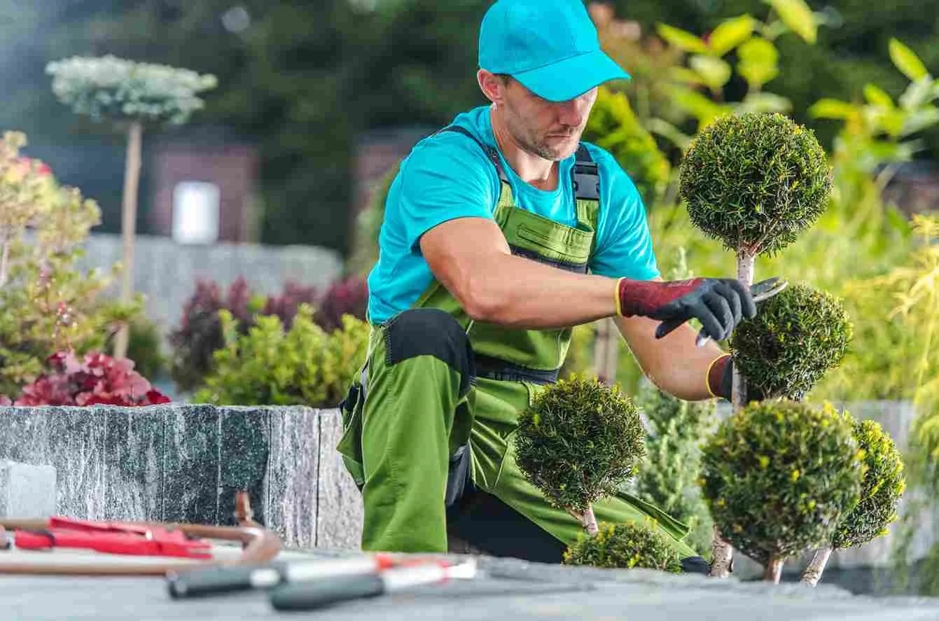How Much Does a Landscape Designer Cost in Winnipeg?