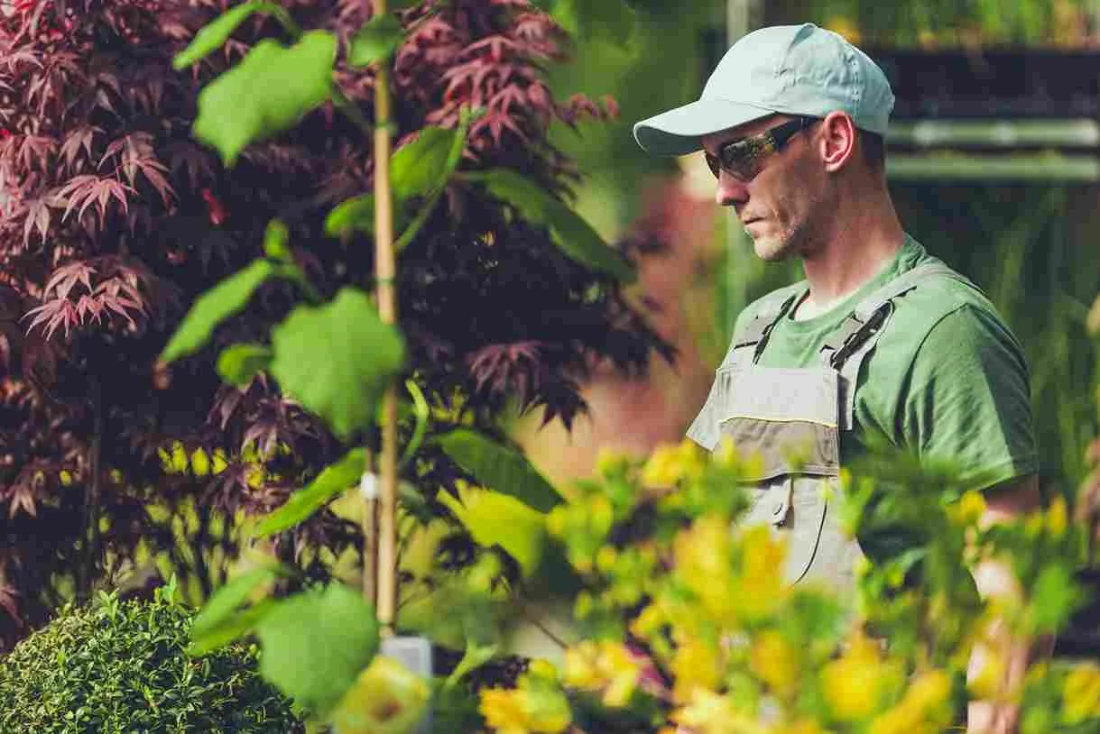 How Long Does Landscaping Take: 7 Projects With Timelines