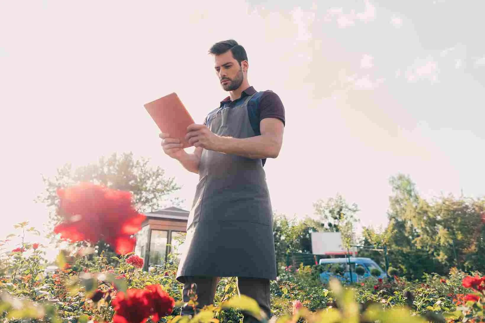 What Landscaping Projects Require a Permit in Winnipeg?