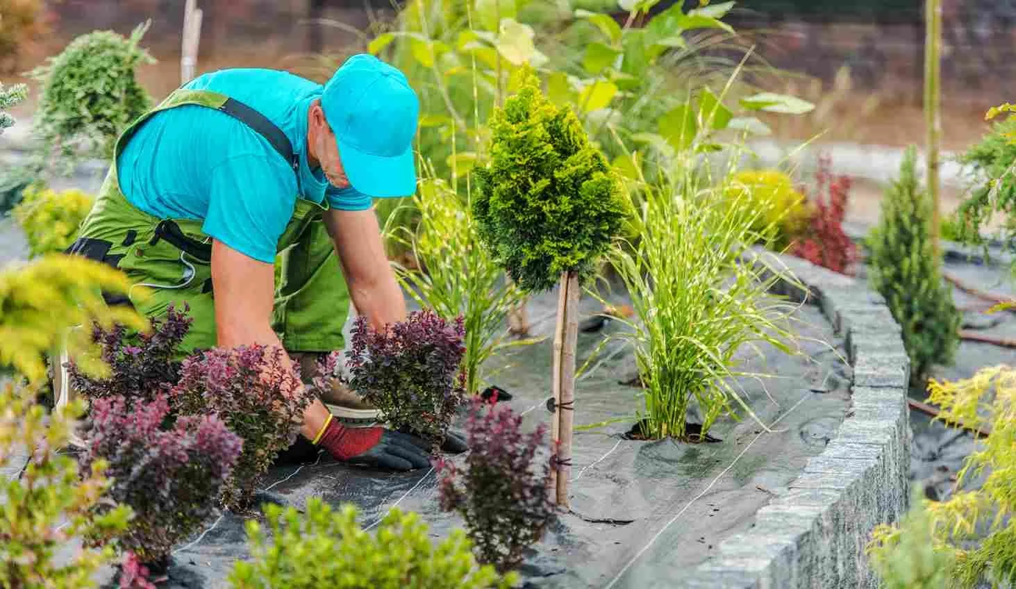 How Much Does Backyard Landscaping Increase Property Value?