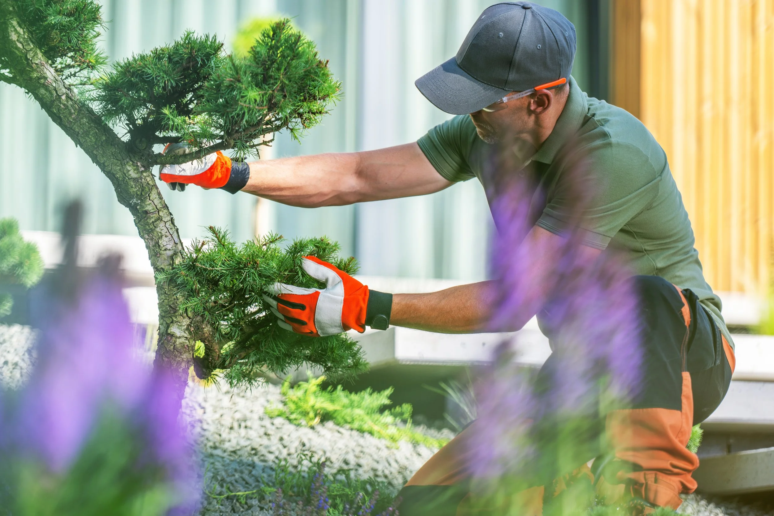 Can You Do Landscaping in a Winnipeg Winter? Yes — Here's How