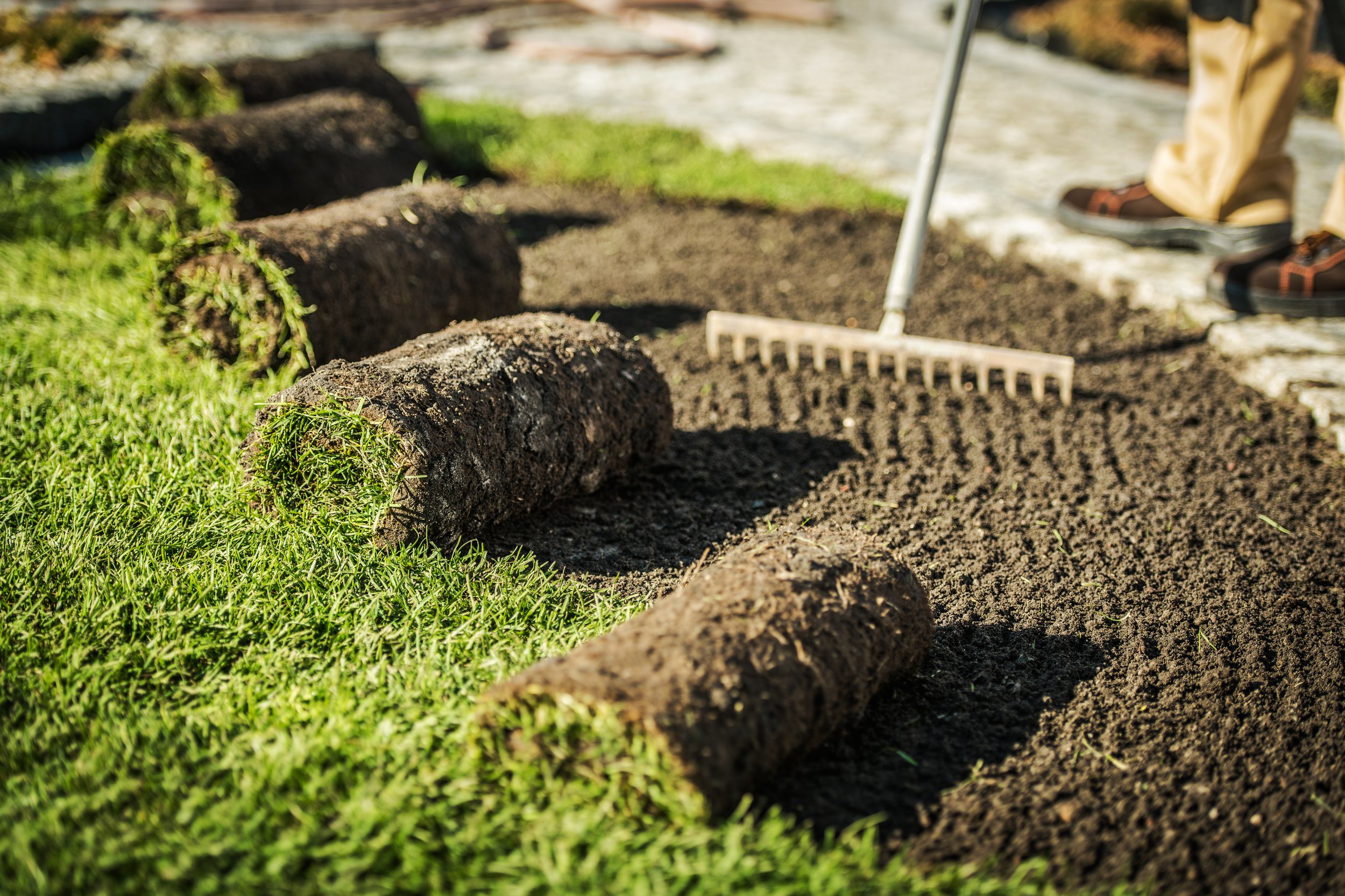 How Much Does Sodding a Lawn Cost Per Square Foot?