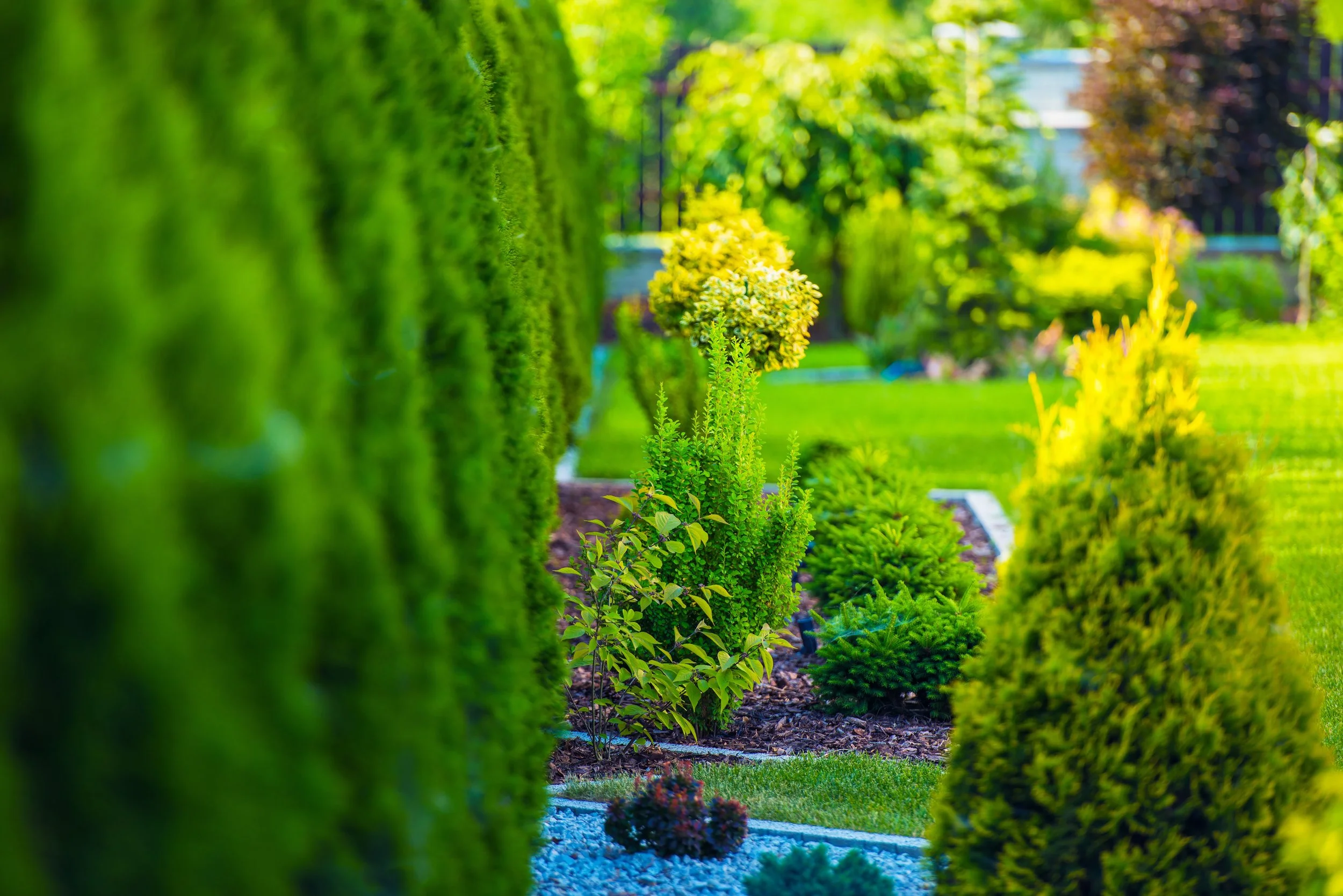 Why Is Landscape Design Important for Your Home?