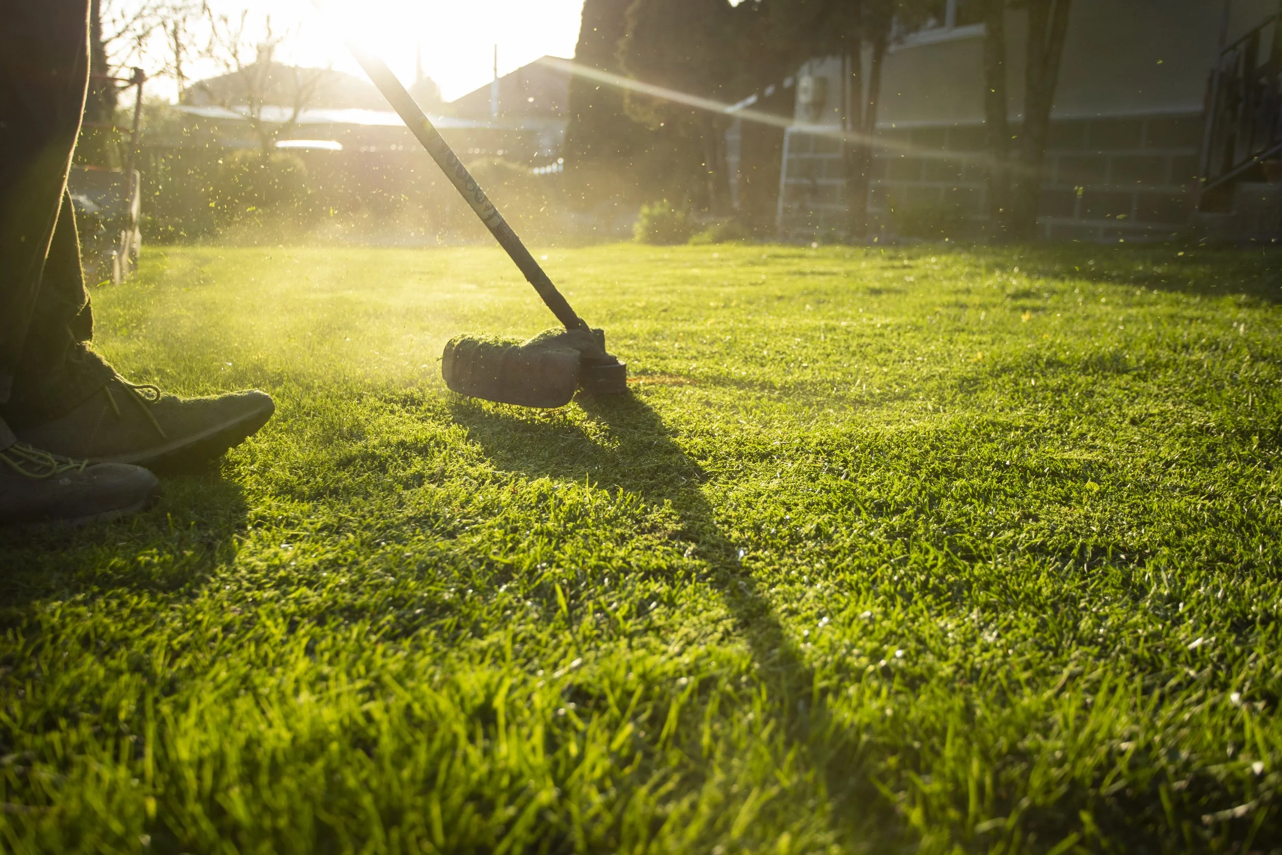 What We've Learned Running a Lawn Care Company in Winnipeg