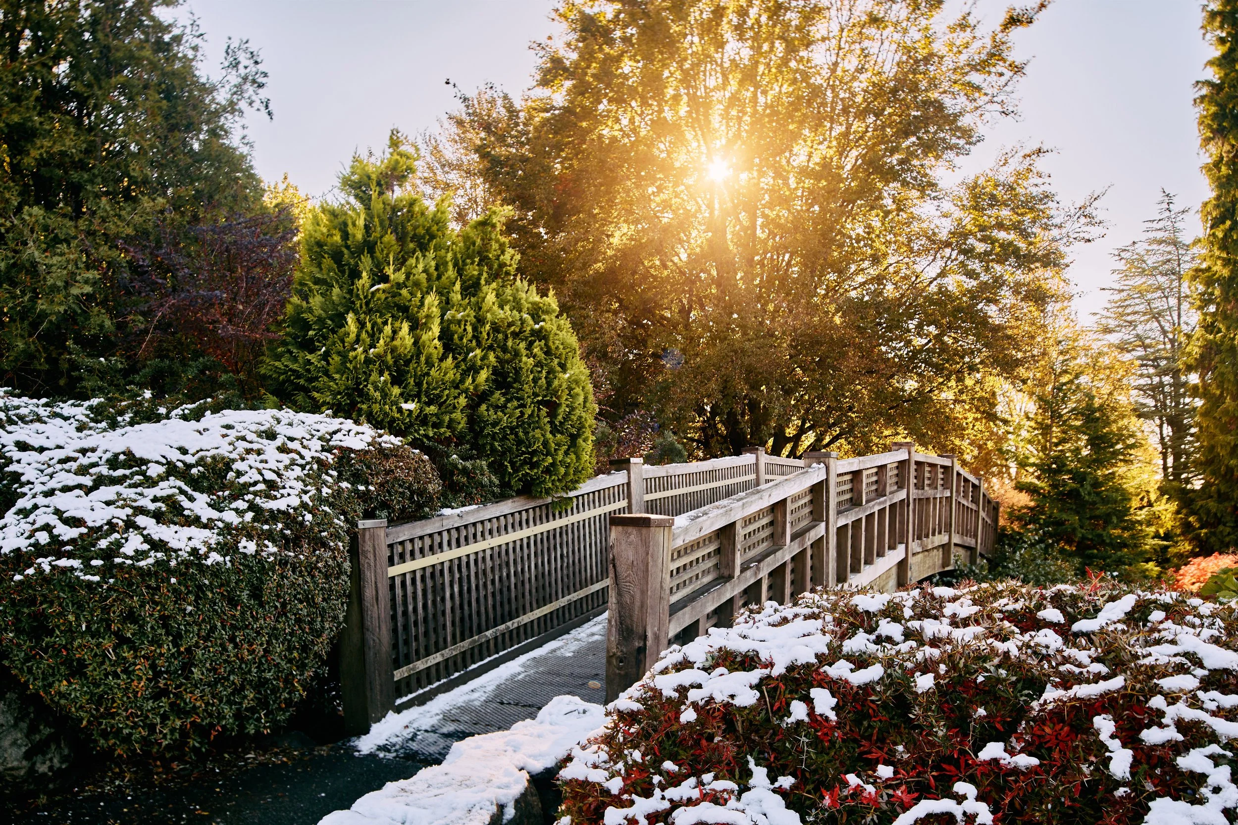 Winter Landscaping Services Winnipeg: Beyond Snow Removal