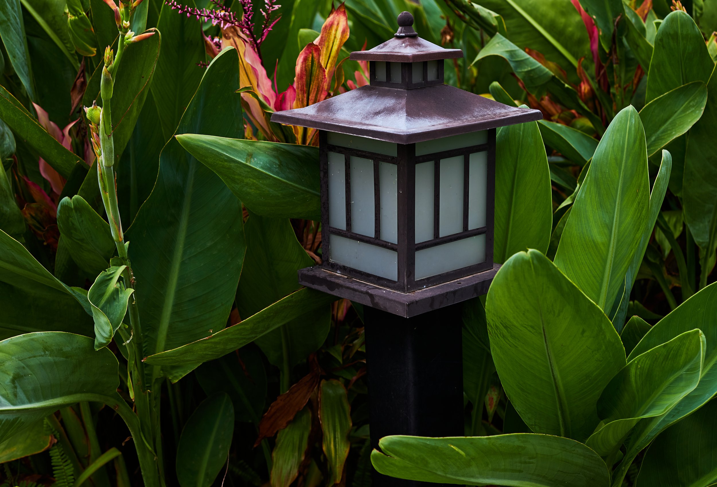 Where to Place Landscape Lighting in a Winnipeg Yard