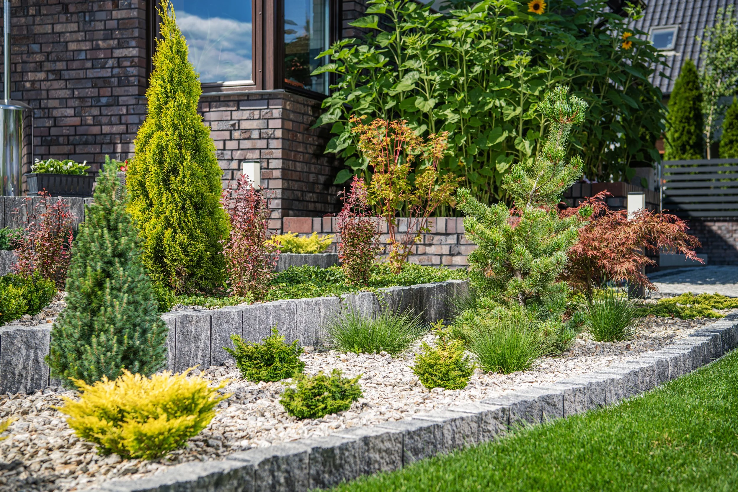 How Much Does Backyard Landscaping Cost If You Phase It?