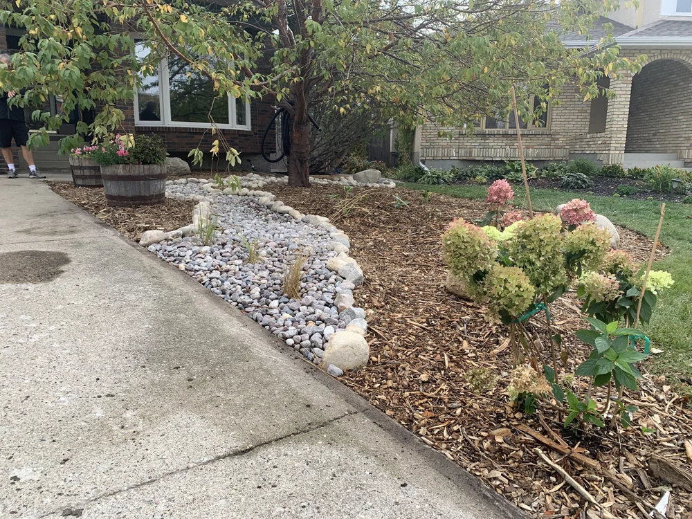 The Benefits of Native Plants in Winnipeg Landscaping A Gardener's