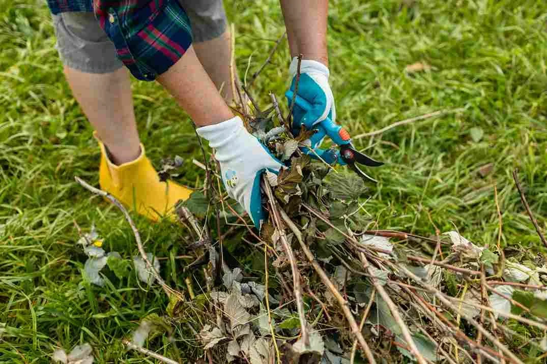 Spring Clean Up Service What Is Included in Spring Clean Up? A Winnipeg Guide