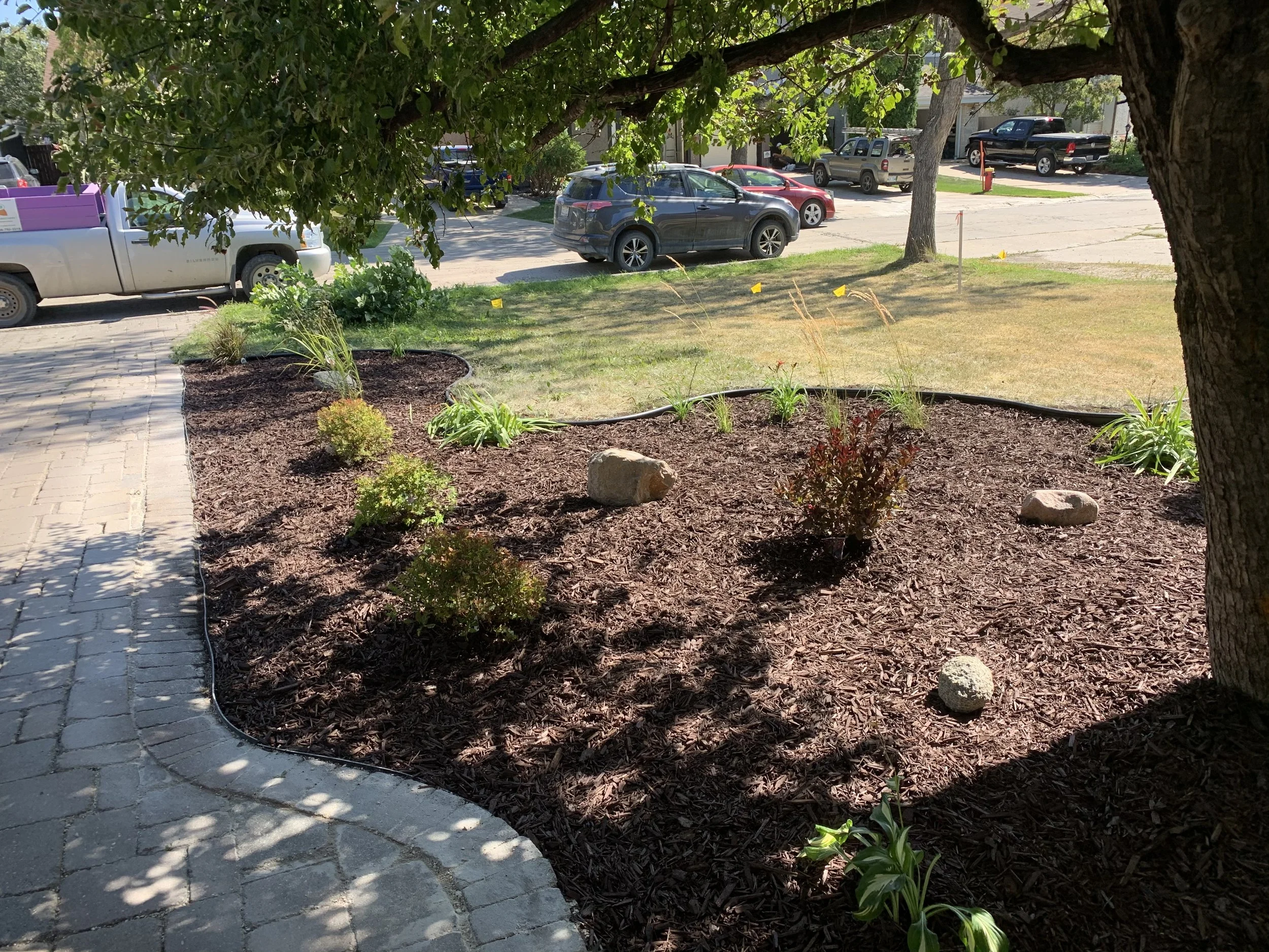 Best Plants for Winnipeg Bulger Brothers Landscapes