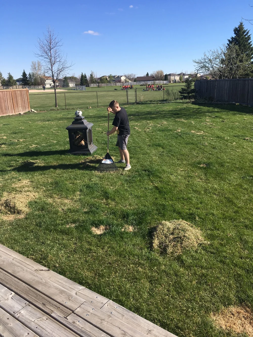 Have the greenest grass on the block — Bulger brothers landscape Winnipeg