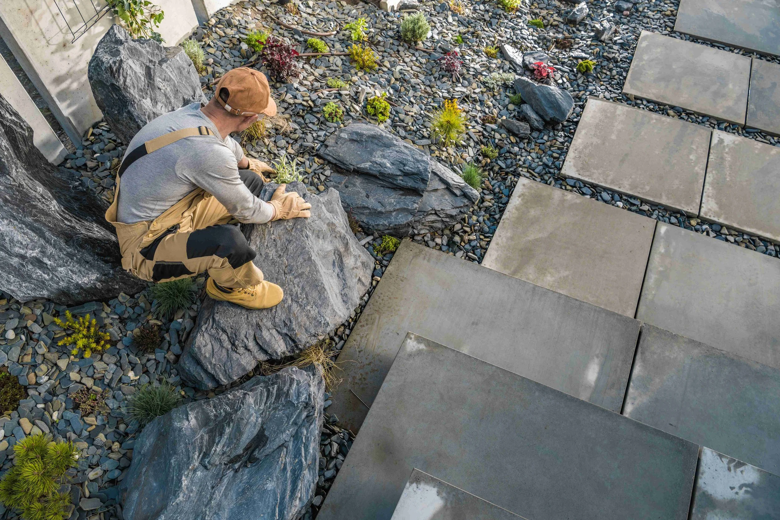 Modern decorative rock garden with large landscape boulders and plants