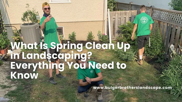 What Is Spring Clean Up for Landscaping in Winnipeg