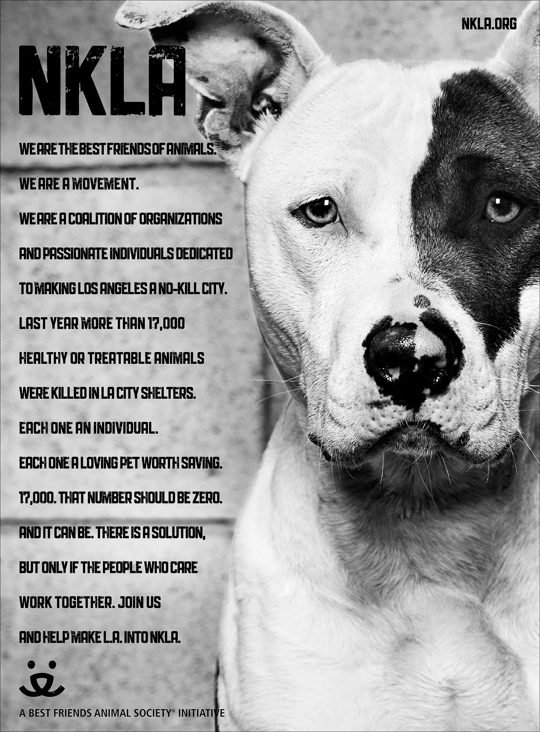 NKLA Print Jewell-lr.jpg