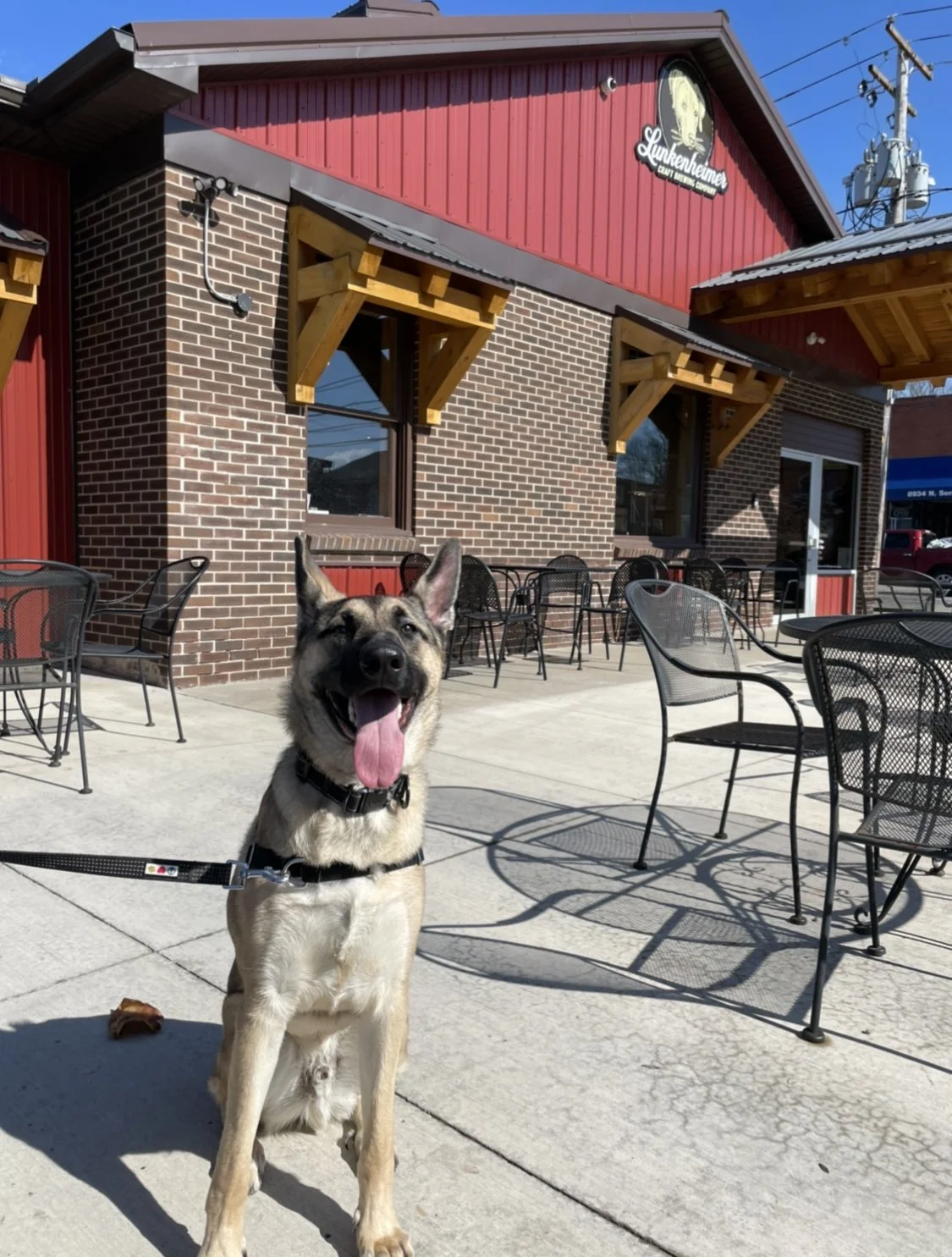 Jaxx (owned by Jessica)