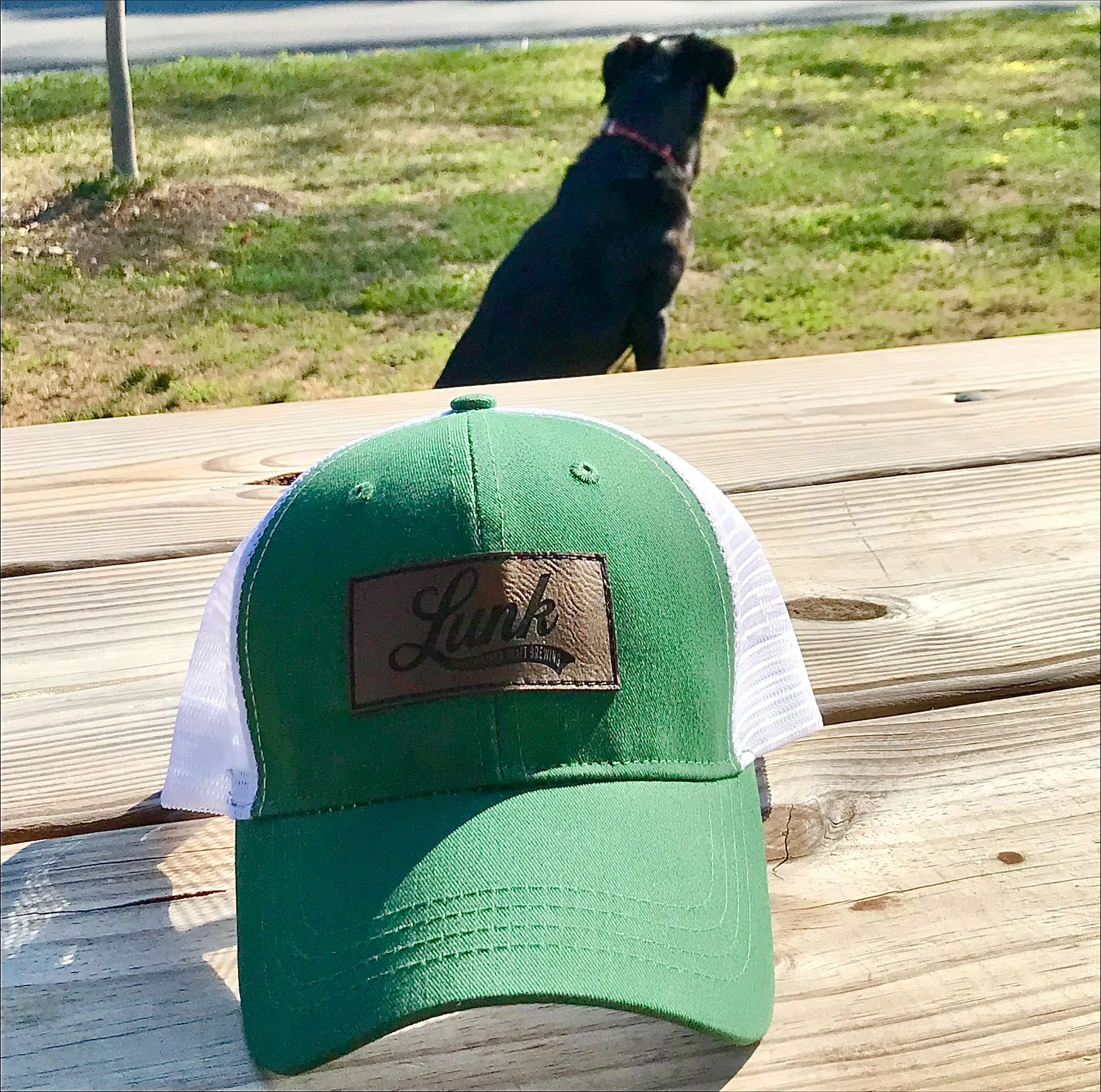 Maddie (owned by Jamie)