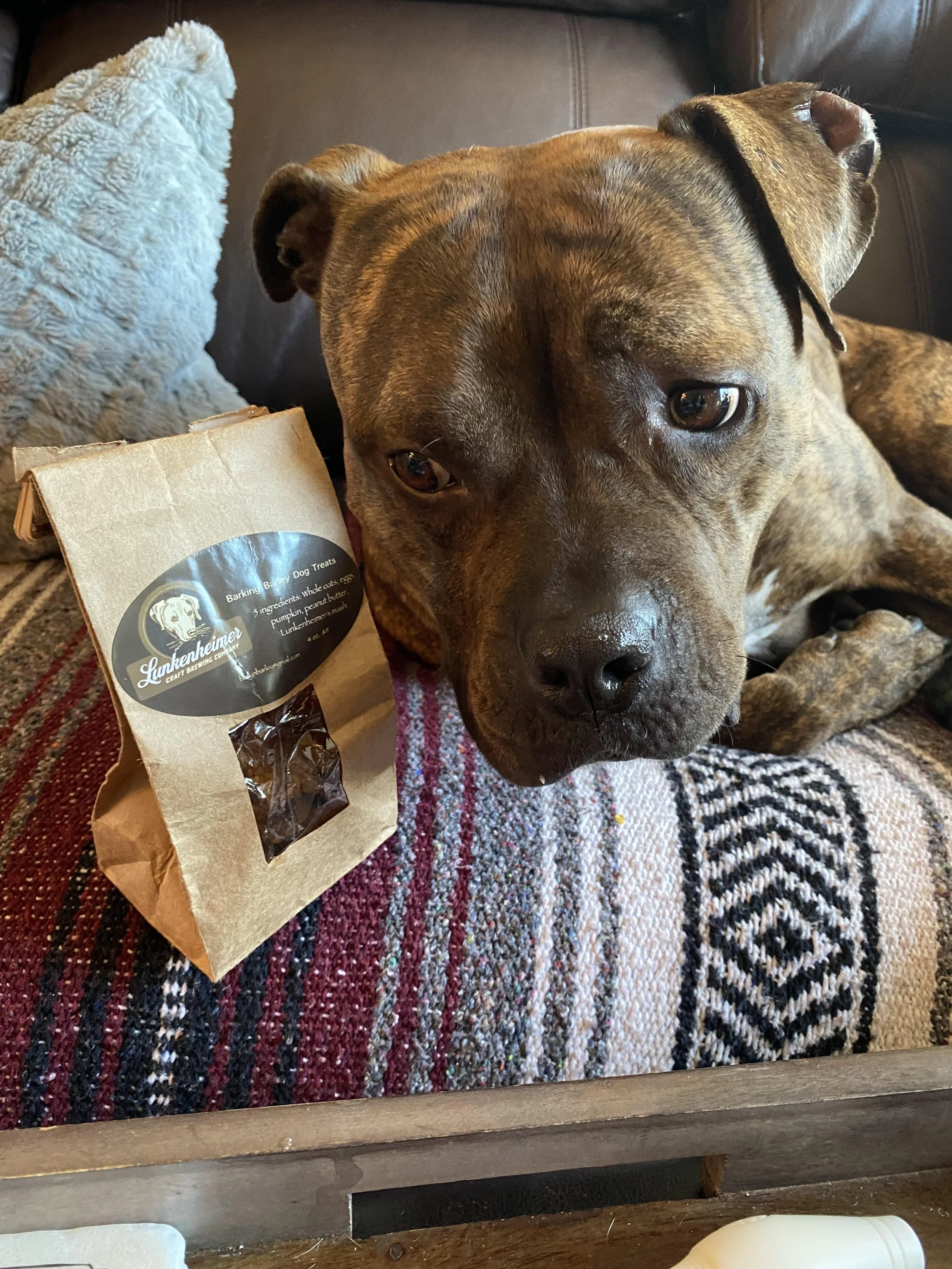 Tuuka (owned by Nick and Maryn)