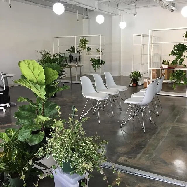 Spinagu moves to Montreal (for the summer 2019). Jia is awarded a research grant and joins the doctoral student program Toolkit at the Canadian Center for Architecture.