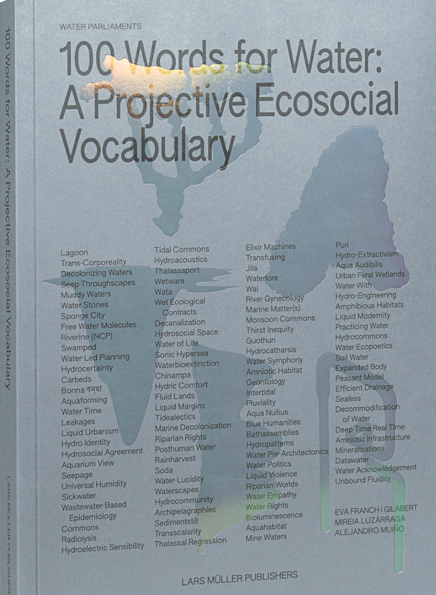 Contribution to 100 Words for Water: A Projective Ecosocial Vocabulary