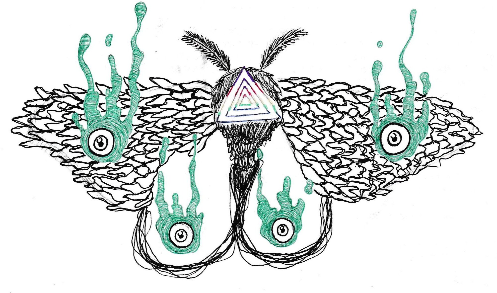 moth.jpg