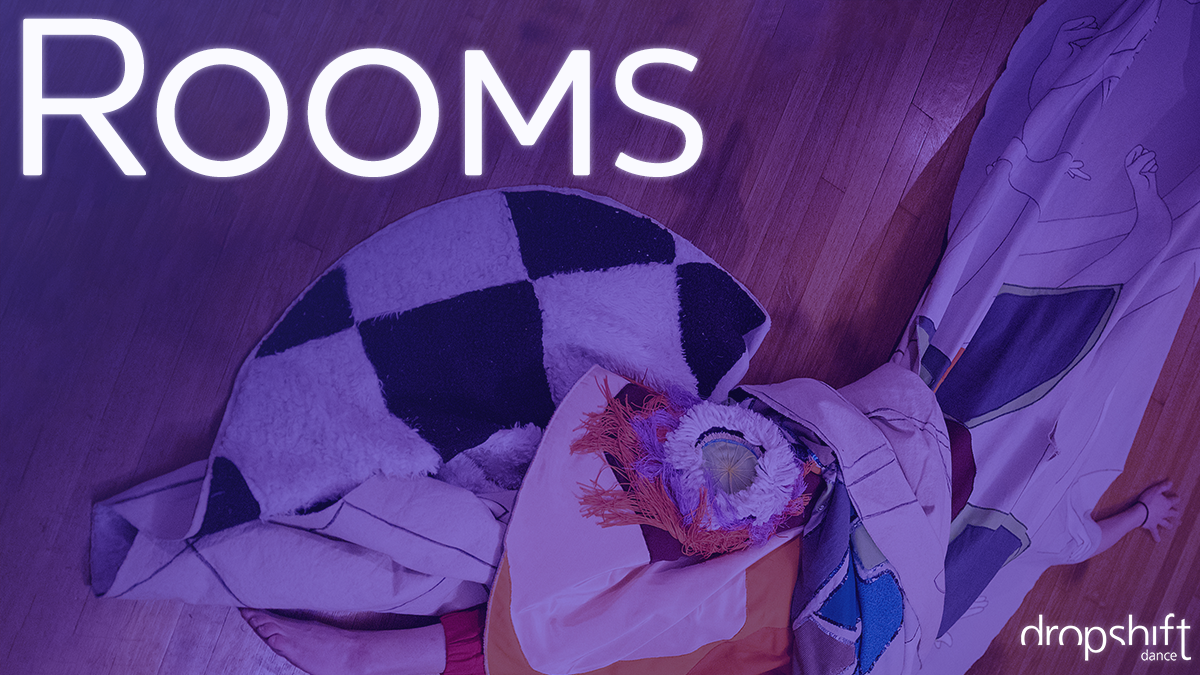 DropShift Rooms 2024 B Banner.png